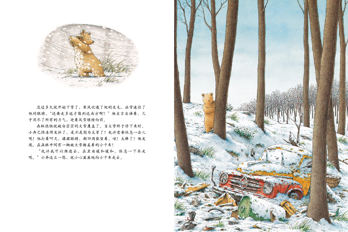 小棕熊的梦 (05),绘本,绘本故事,绘本阅读,故事书,童书,图画书,课外阅读